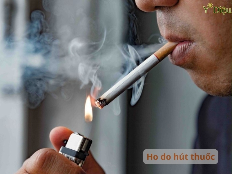 Ho do hút thuốc lá là một phản xạ sinh lý phức tạp
